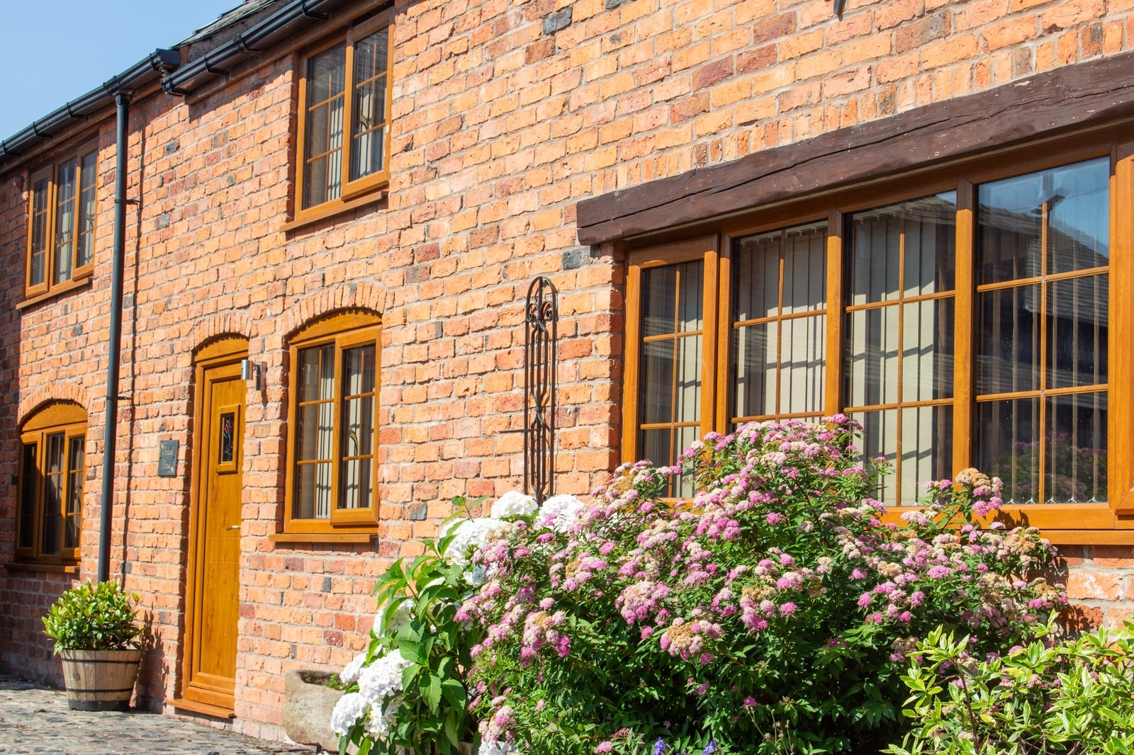 Hydrangeas in bloom against the brick beneath the cottage windows
