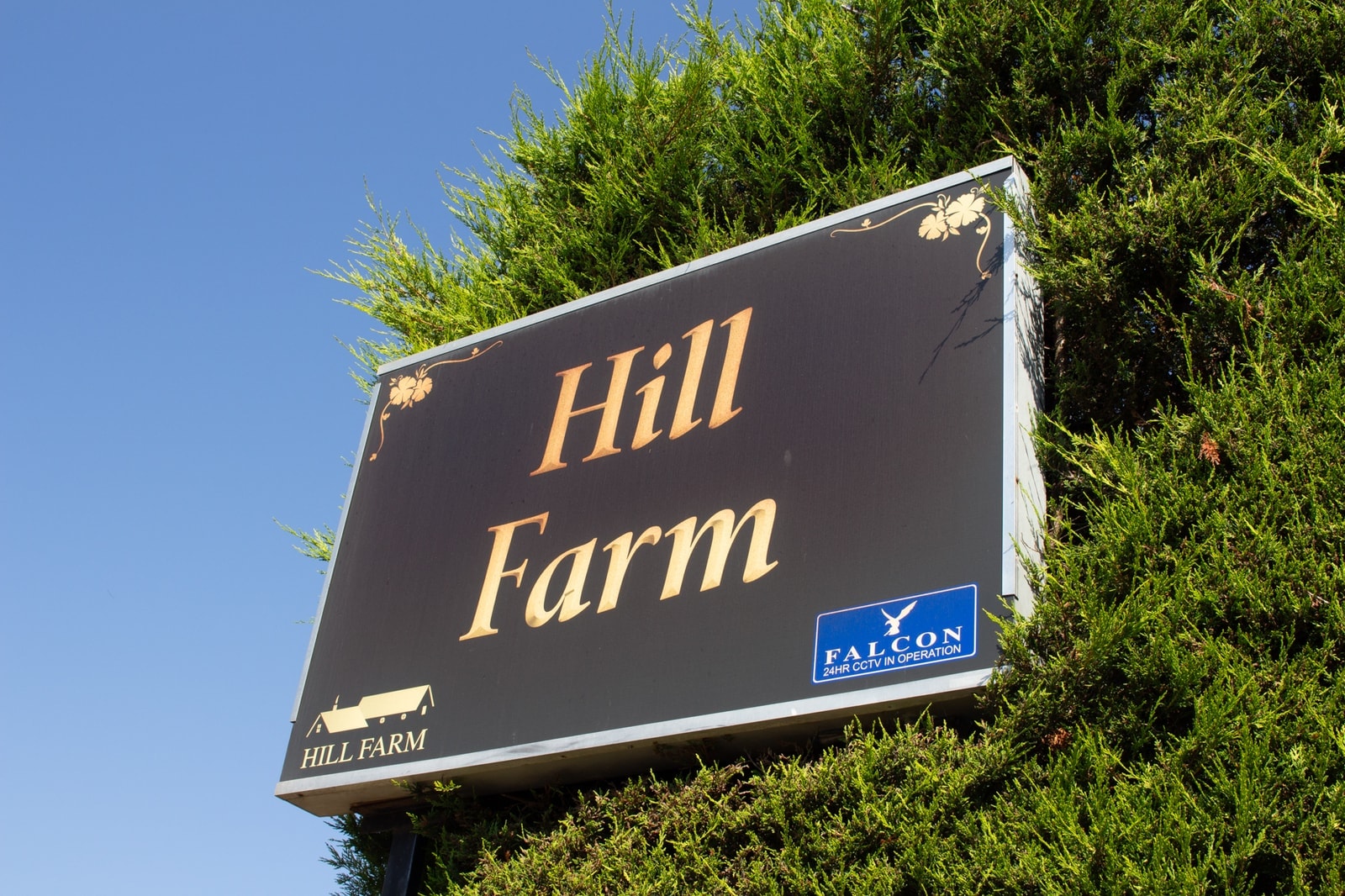 The Hill Farm sign set into the hedge at the entrance