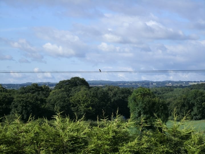 The Cheshire countryside stretching away beyond the farm's hedgerows