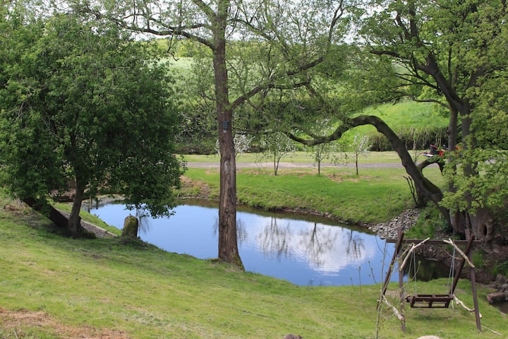The pond and old tree in the grounds beyond the barns