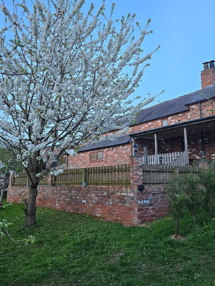 Orchard House behind a cherry tree in full blossom, its timber veranda along the front